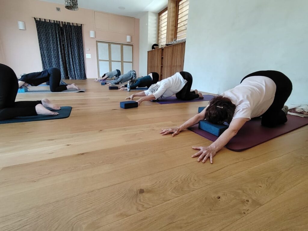 Cours collextif N°3